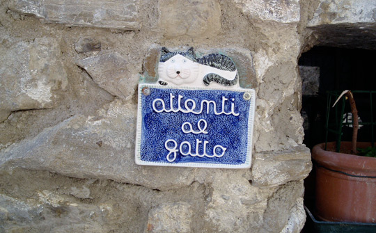 Attenti al gatto